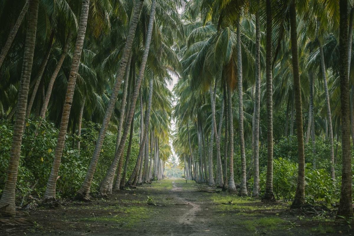 Reveries Maldives Gan  Bagian luar foto